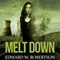 Melt Down: Breakers, Book 2