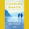 The Mountain Between Us: A Novel