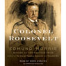 Colonel Roosevelt