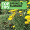 Top Tips for Spring and Sumer