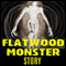 The Flatwoods Monster Story