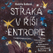 Straka v rsi entropie