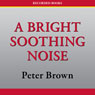 A Bright Soothing Noise