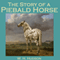 The Story of a Piebald Horse