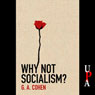 Why Not Socialism?