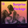 Surprise Package: Ann Summers Short Story 18