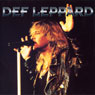 Def Leppard: A Rockview Audiobiography