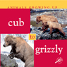 Animals Growing Up: Cub to Grizzly
