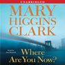 Where Are You Now?: A Novel