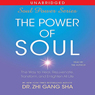 The Power of Soul: The Way to Heal, Rejuvenate, Transform and Enlighten All Life