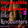 Impossible Gay Lovers, Vol. 2 - Illicit Encounters: Directed Erotic Visualisation