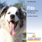 Fido. Das Glck hat Pfoten, das Chaos auch