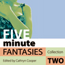 Five Minute Fantasies: Erotic Stories Collection Two