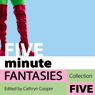 Five Minute Fantasies: Erotic Stories Collection Five