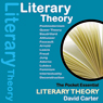 Literary Theory: The Pocket Essential Guide