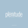 Plenitude: The New Economics of True Wealth