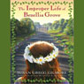 The Improper Life of Bezellia Grove: A Novel