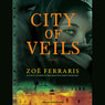 City of Veils: A Novel