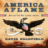 America Aflame: How the Civil War Created a Nation