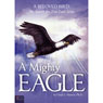 A Mighty Eagle: A Beloved Bird: The Search for True Love