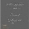 Homer Odyssee. Ein Weltgedicht