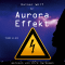 Der Aurora Effekt