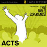 Acts: The Bible Experience