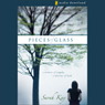 Pieces of Glass: A Moment of Tragedy, a Lifetime of Faith