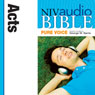 NIV Audio Bible, Pure Voice: Acts