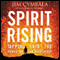 Spirit Rising: Tapping into the Power of the Holy Spirit