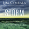 Storm: Hearing Jesus for the Times We Live In