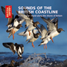 Sounds of the British Coastline: A Journey in Sound Along the Shores of Britain