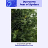 Overcome Fear of Spiders: Feel Confident, Relaxed and Comfortable Around Spiders