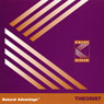 Natural Advantage: Theorist/Kolbe Concept