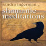 Shamanic Meditations: Guided Journeys for Insight, Visions, and Healing