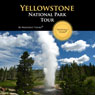 Yellowstone National Park Tour: Your Personal Tour Guide for Yellowstone Adventure!