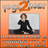 Pranayamas & Mudras Vol.2: Yoga Breathing and Gesture Class