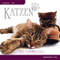 Katzen - Ratgeber fr Katzenliebhaber und solche, die es werden wollen audio book by Thomas Meinen