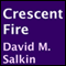 Crescent Fire (Unabridged) audio book by David M. Salkin
