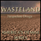 Wasteland: America's Demise, Book 1 (Unabridged) audio book by Jacqueline Druga