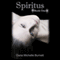 Spiritus: A Paranormal Romance: Spiritus, Book 1 (Unabridged) audio book by Dana Michelle Burnett