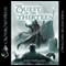 The Quest of the Thirteen (Unabridged) audio book by John DeFilippis