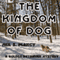 The Kingdom of Dog: Golden Retriever Mysteries, Book 2 (Unabridged) audio book by Neil S. Plakcy