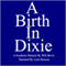 A Birth in Dixie: A Southern Memoir (Unabridged) audio book by Will Bevis