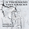 A Thousand Tiny Cracks (Unabridged) audio book by Stella Maddox