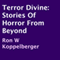 Terror Divine: Stories of Horror from Beyond (Unabridged) audio book by Ron W Koppelberger