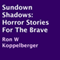 Sundown Shadows: Horror Stories for the Brave (Unabridged) audio book by Ron W. Koppelberger