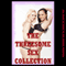 The Threesome Collection: Twenty Erotica Stories (Unabridged) audio book by Julie Bosso, Samantha Sampson, Jane Kemp, Cindy Jameson, Veronica Halstead, Nancy Brockton, Erika Hardwick, DP Backhaus