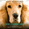Dog Eldercare: Caring for Your Middle-Aged to Older Dog (Dog Care for the Older Canine) (Unabridged) audio book by Amy Morford