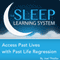 Access Past Lives with Past Life Regression, Guided Meditation and Affirmations: Sleep Learning System audio book by Joel Thielke